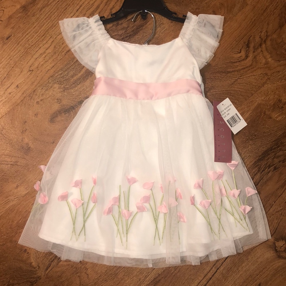 Biscotti NWT 24m dress with flowers and bloomers